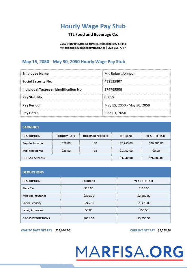 Blank Hourly Wage Pay Stub sample